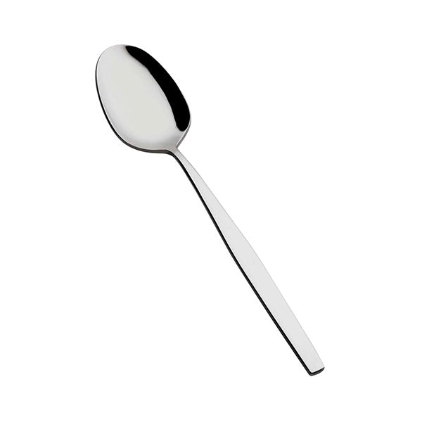 Spa Serving Spoon