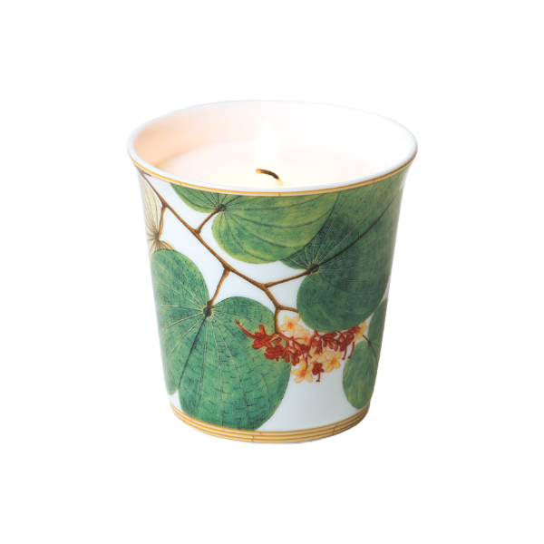 JARDIN INDIEN Tumbler + candle home fragrance 200g